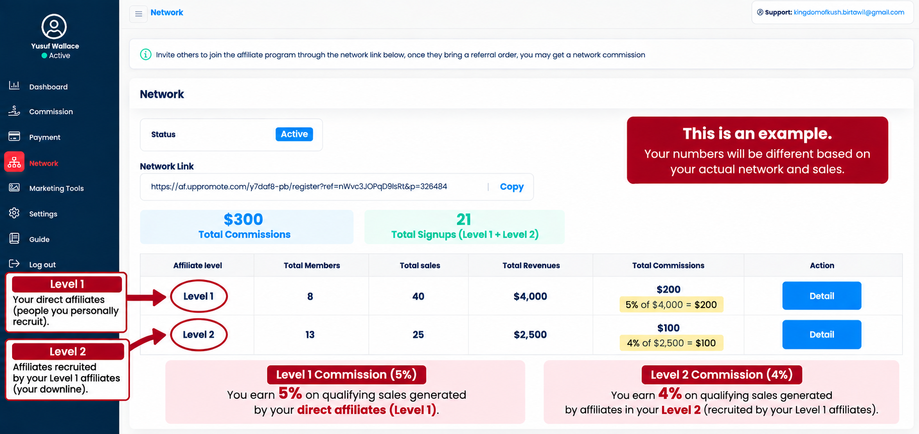Example showing Level 1 and Level 2 affiliate network